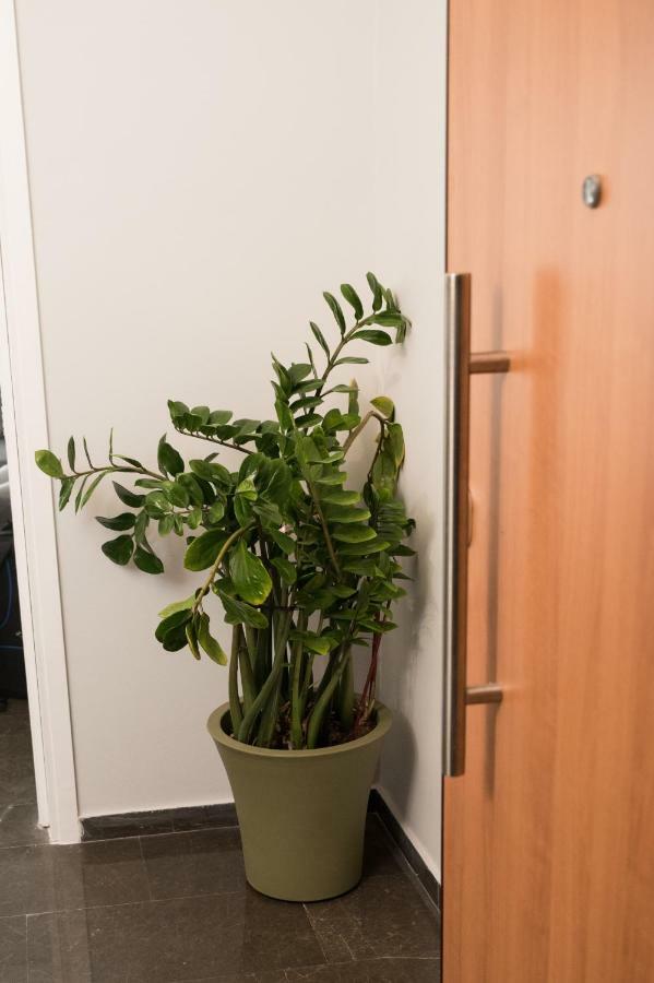 At.Thea Athens Boutique Apartments Eksteriør bilde